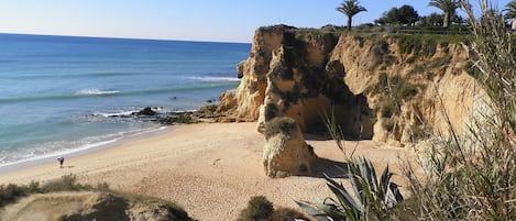 بالقرب من الشاطئ