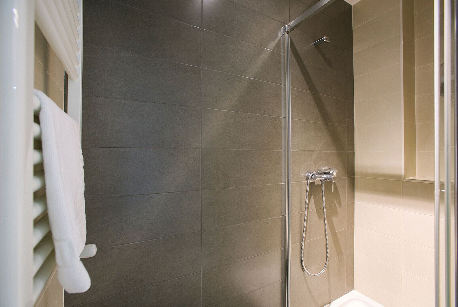 Een douche, een haardroger, handdoeken