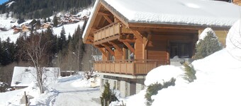 CHALET 15 persons, 3 min from CHATEL, with sauna, jacuzzi, cinema room