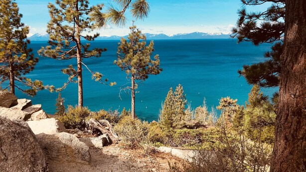 A mountainous landscape with pine trees and a clear view of a lake.