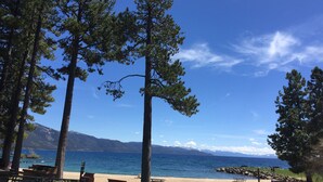 A beach with picnic tables and benches, surrounded by tall pine trees, with a clear view of the sea and distant mountains.