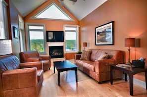 TV, fireplace, DVD player