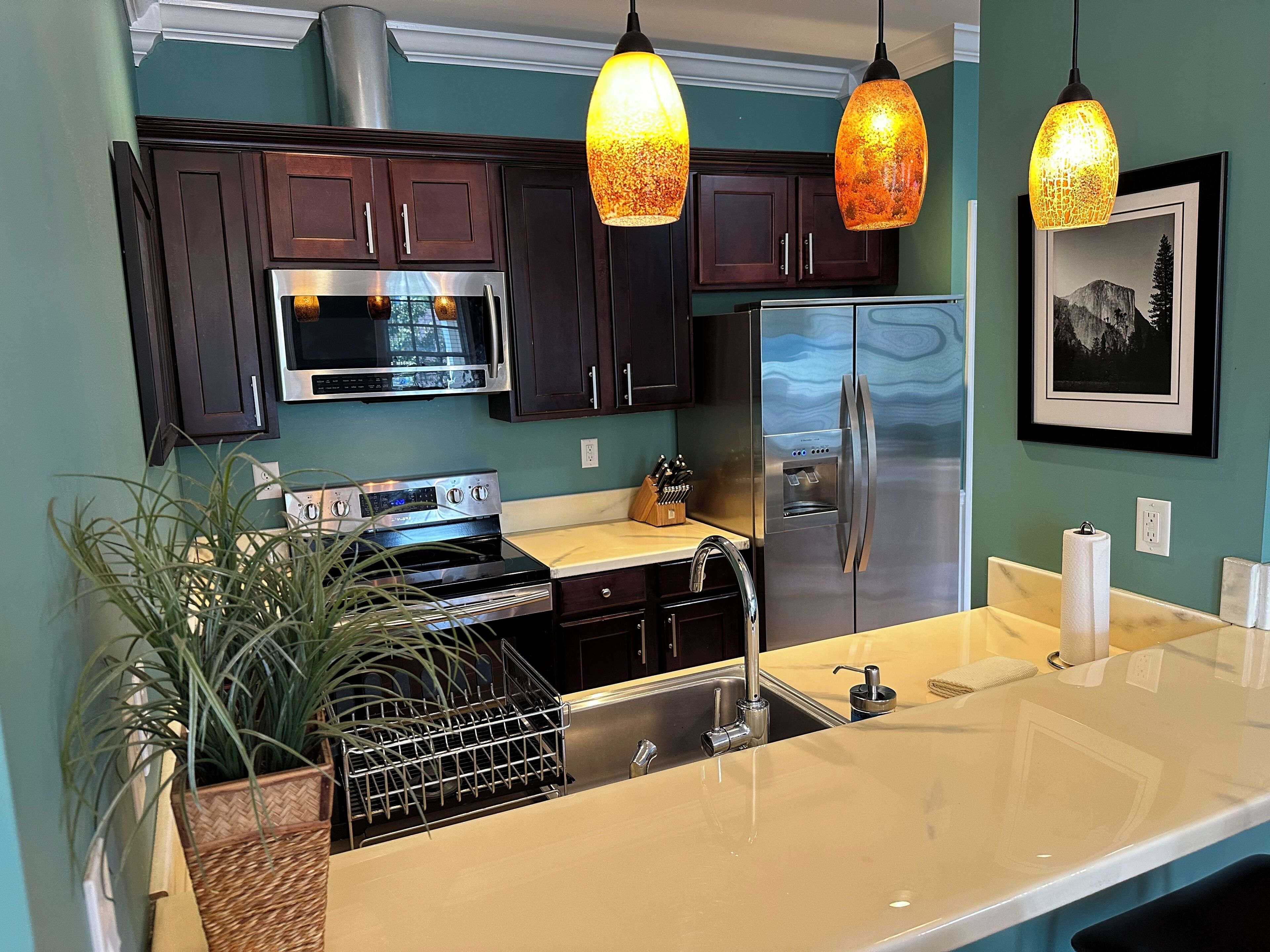 Fridge, microwave, oven, stovetop