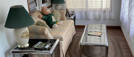 Téléviseur, lecteur de DVD, livres, sélection de films