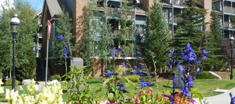 1 Bedroom, Deck Above Blue River! Easy Walk Around Breck! Mountain Views, Garage