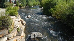 A river flowing through a natural landscape with stone walls and trees.