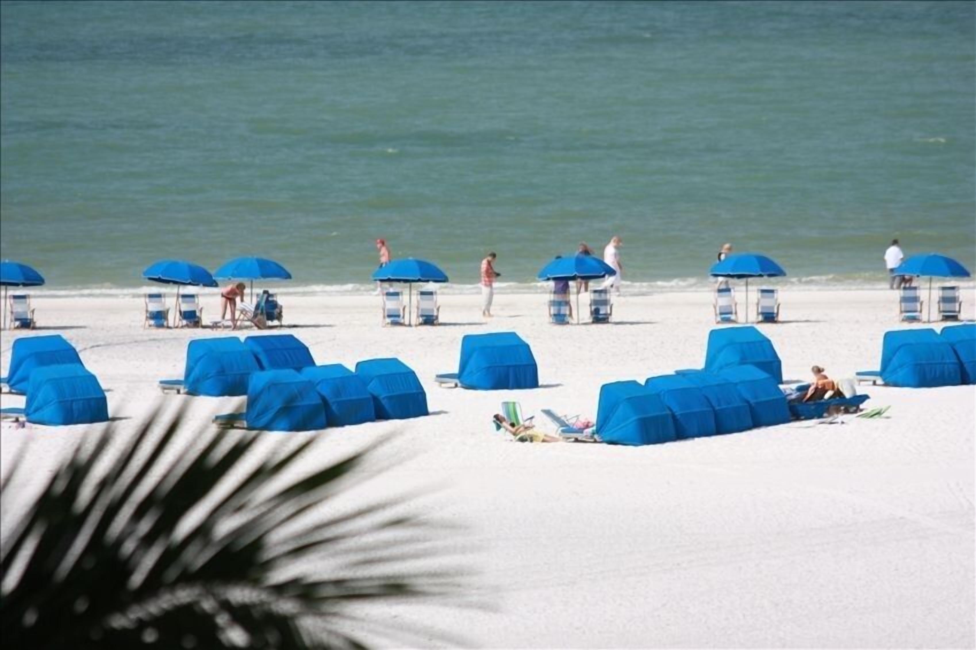 Una playa con hileras de sombrillas azules y sillas de descanso.