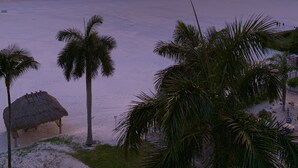Vista de playa con palmeras y una cabaña de techo de paja.