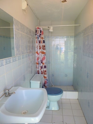Single Room, 1 Double Bed | Bathroom