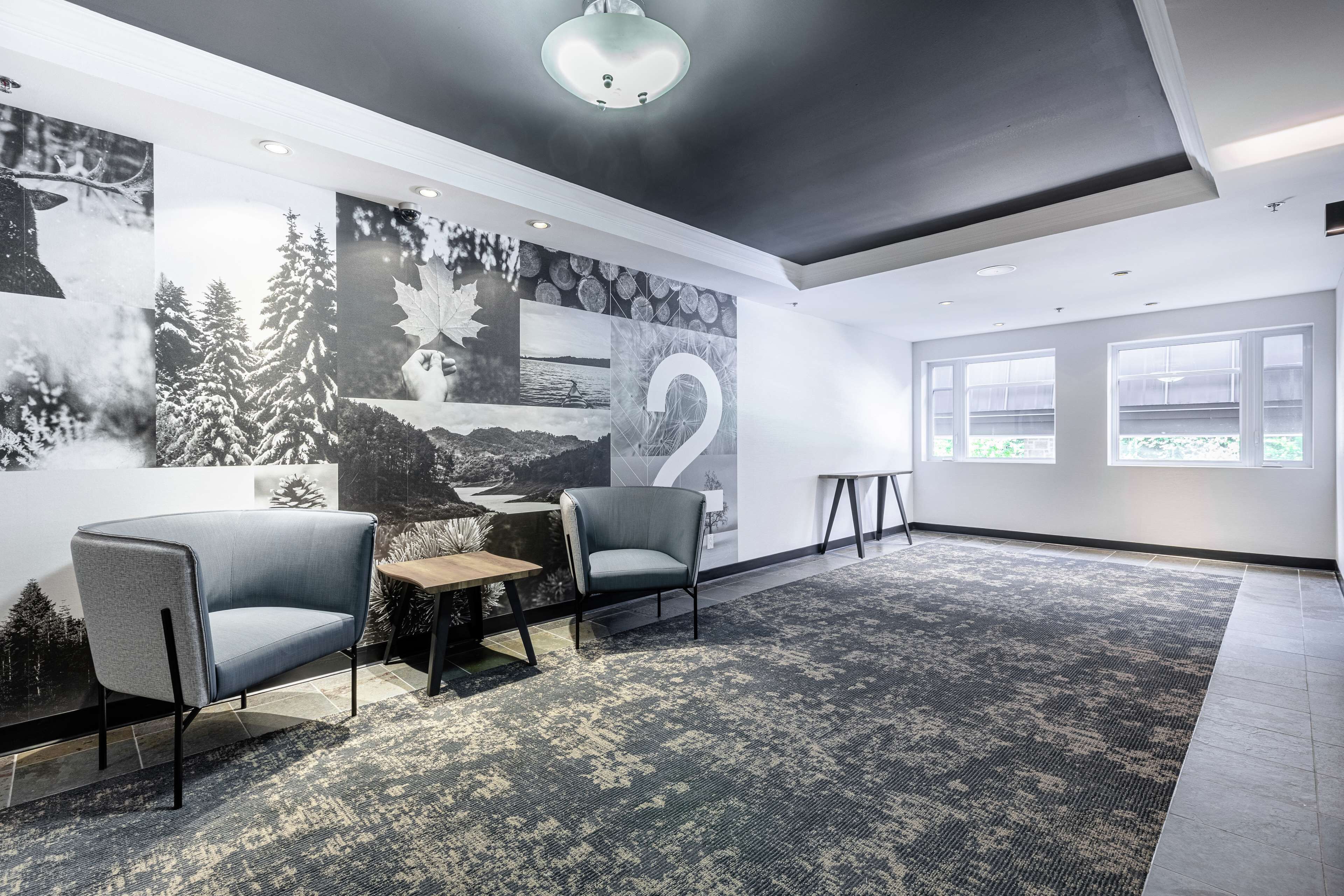Une pièce moderne avec une grande fresque murale, deux fauteuils gris, une petite table en bois et un tapis à motifs.