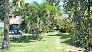 Jardin