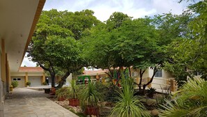 Un patio con un sendero de piedra, rodeado de plantas en macetas y árboles.