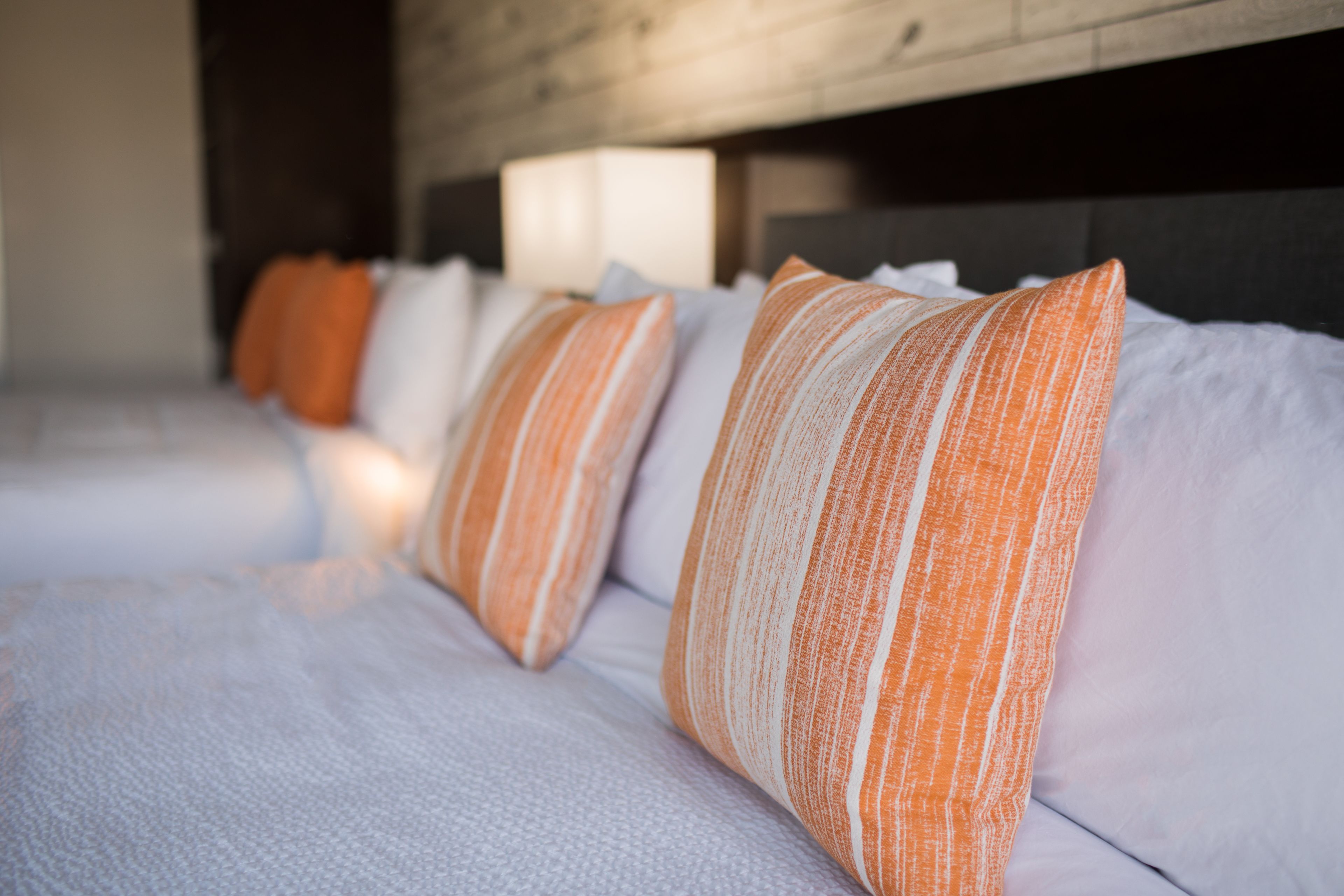 Foto - The Fin Hotel, Tapestry Collection by Hilton