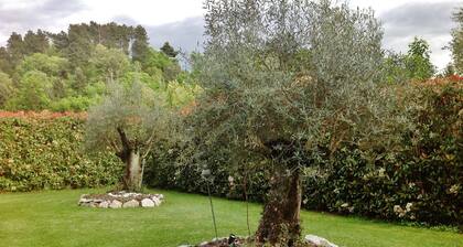 Massa Pisana: Villa with pool and big garden at only 3 km far from the centre