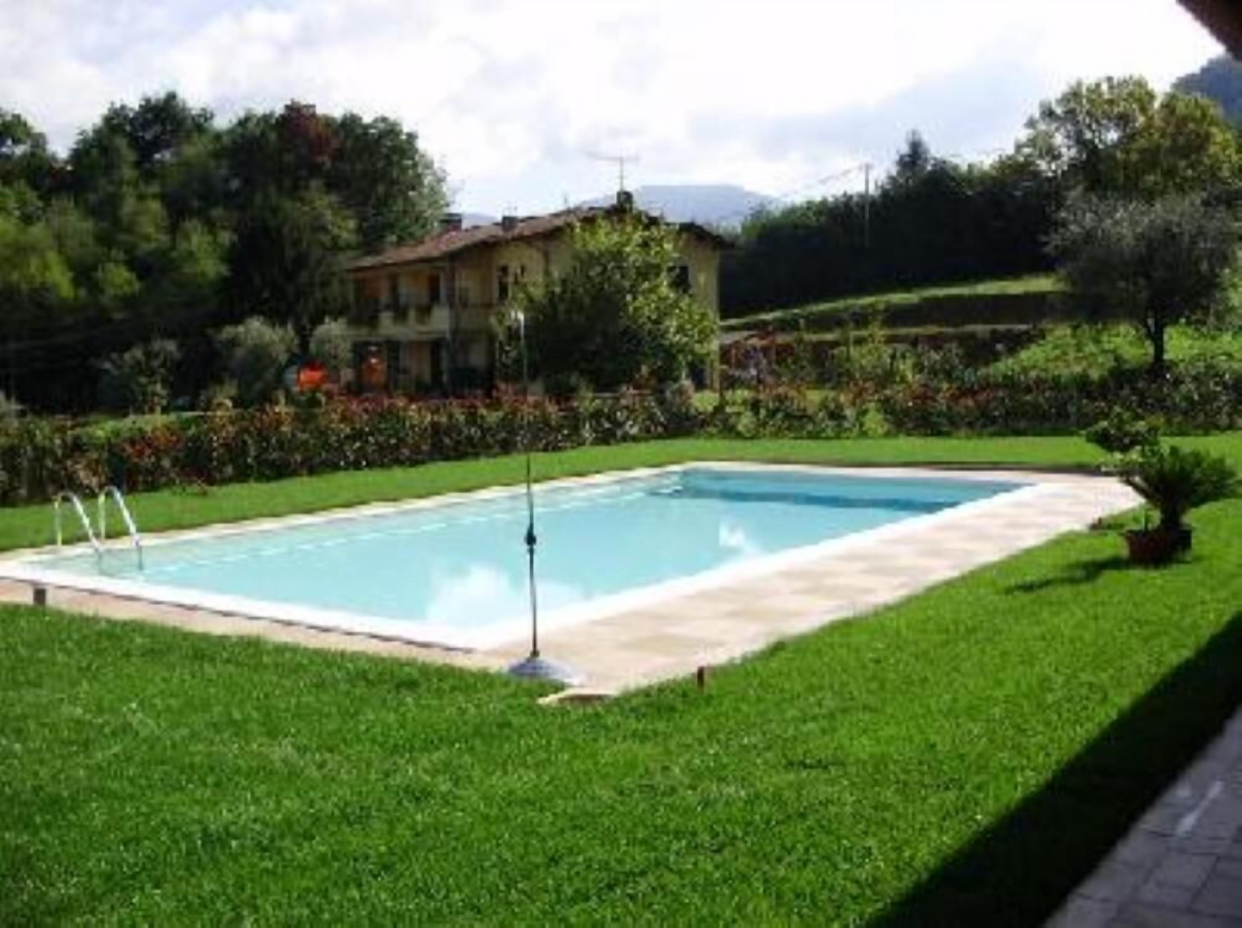 A rectangular swimming pool with a ladder on one side, surrounded by well-maintained grass and a variety of plants.