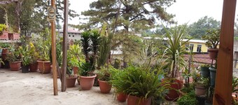 호텔 엥쿠엔트로 델 비아헤로