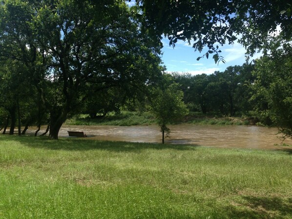 Un espacio verde con río, árboles y un banco.