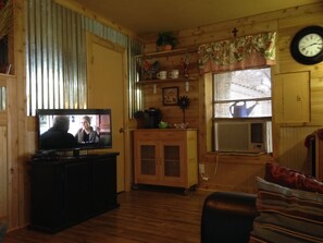 TV, fireplace, DVD player, books