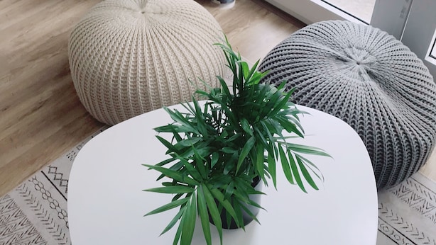 Ein Zimmer mit einem großen Fenster, einem Blumentopf und zwei gestrickten Poufs.