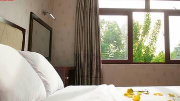 Superior Double Room | View from room