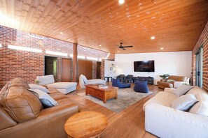 TV, video games, Netflix, DVD player