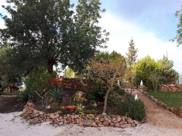 A garden with a variety of plants, a stone wall, and a small white structure.