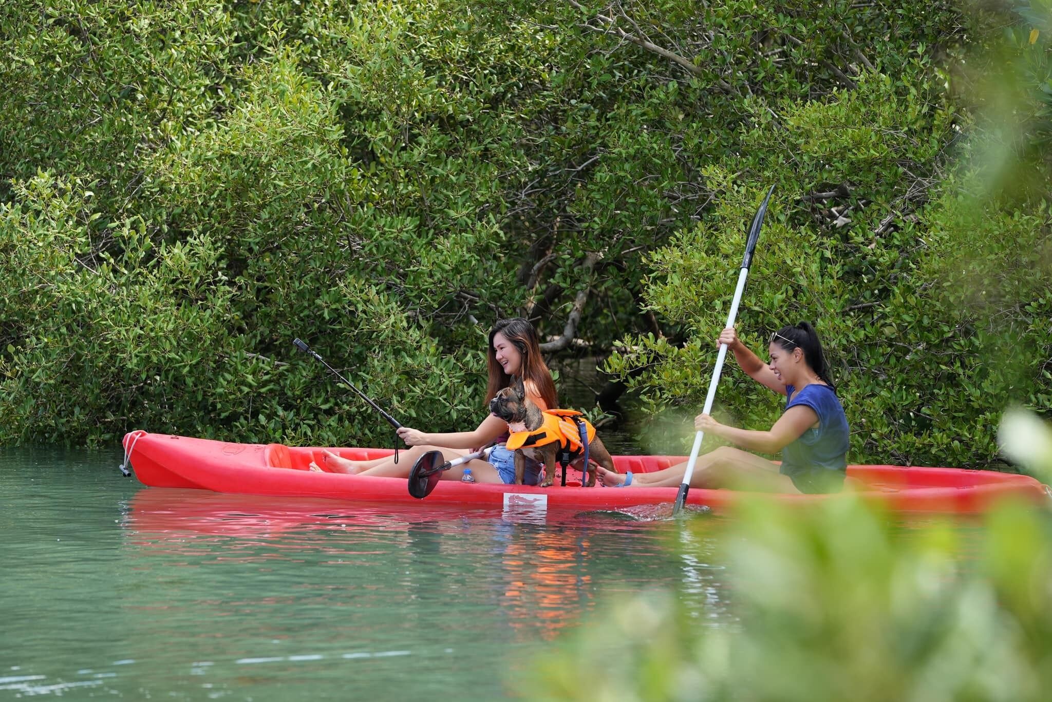 Un kayak rojo sobre aguas tranquilas, rodeado de abundante vegetación verde.