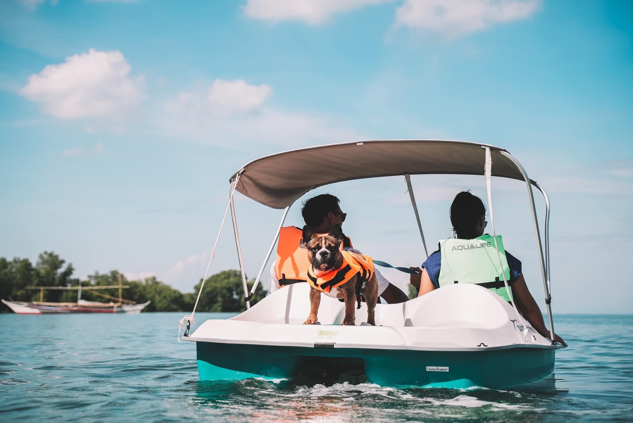 A boat with two people and a dog, one wearing a life jacket.
