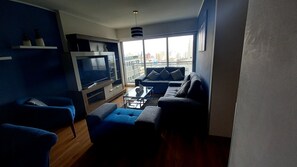 Smart-TV, DVD-Player, Bücher, Stereoanlage