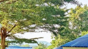 A row of colorful cottages with blue roofs and wooden fences, surrounded by greenery and trees. - Dahla House Ranong (Ranong)