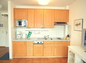 Fridge, microwave, stovetop, dishwasher