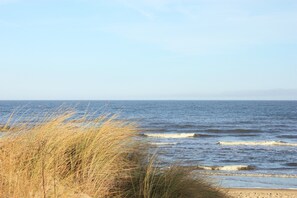 Beach nearby, sun loungers - 5 ***** Ferienhaus Steuerermann - a quiet corner on Usedom (Zirchow)