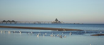 5 ***** Ferienhaus Steuerermann - a quiet corner on Usedom