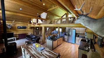 TV, lareira, DVD player, livros