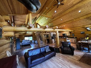 Fernseher, Kamin, DVD-Player, Bücher