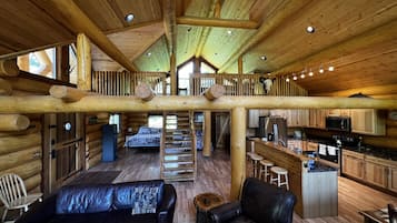 TV, lareira, DVD player, livros