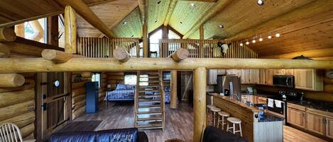 TV, fireplace, DVD player, books