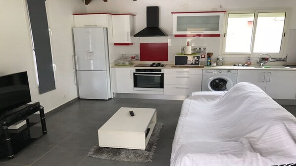 Un espacio habitable compacto con kitchenette, sofá, televisión y lavadora.