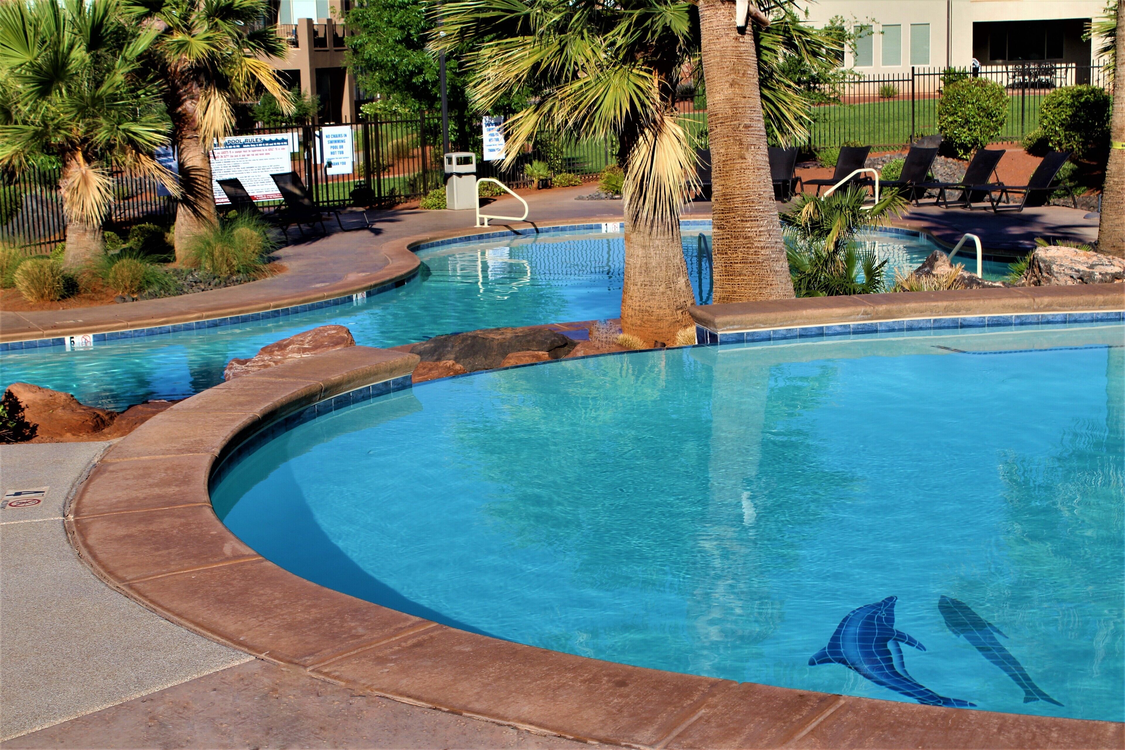 A swimming pool with a dolphin mural, surrounded by palm trees and lounge chairs.