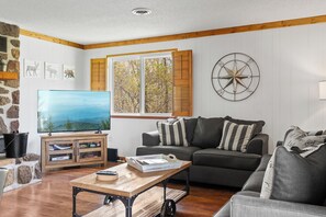 TV connectée, cheminée, livres