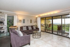 Smart TV, fireplace, DVD player, books