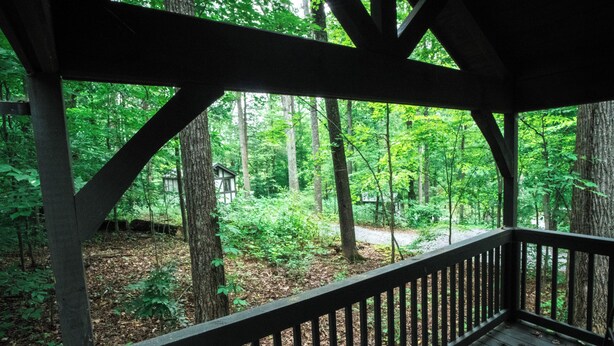 A wooden deck with a railing overlooking a forested area. - #1 Olga - *New Kitchen* Tiny Home Cottage (Sevierville)