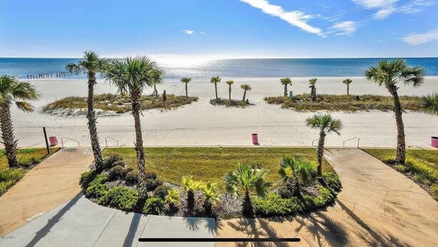 A beach view with palm trees and a clear sky.