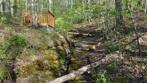 Una cabaña de madera con un pequeño porche, rodeada por un bosque con un arroyo que lo atraviesa.