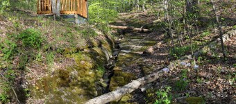 Daffodil Hollow Songwriter & Artist Retreat Cottage Leipers Fork, Natchez Trace 