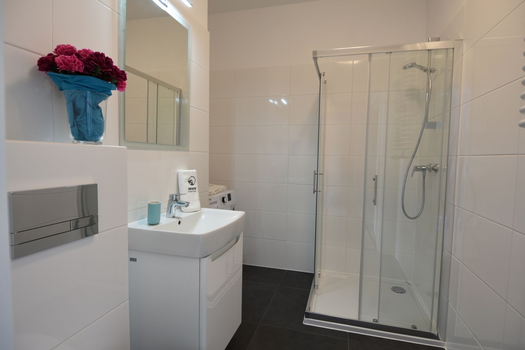 Une salle de bain moderne avec une douche à parois de verre, un lavabo blanc et un miroir au-dessus du lavabo.