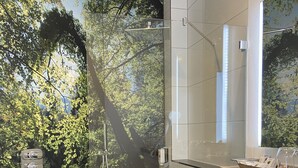 Un baño moderno con ducha de vidrio, lavamanos blanco y espejo sobre él.