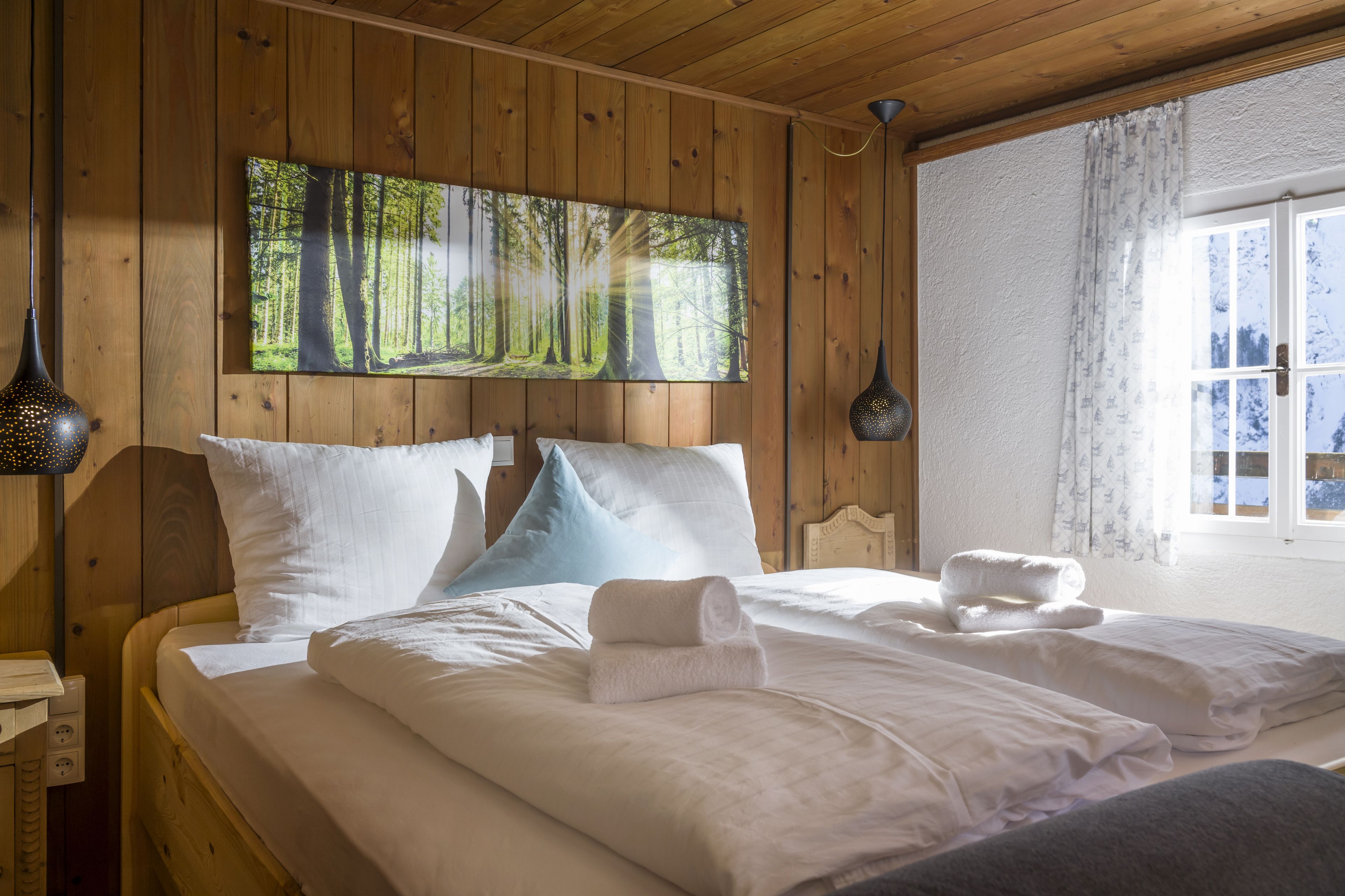 standard double room, balcony, mountainside | 1 bedroom, hypo-allergenic bedding, individually decorated, free wifi