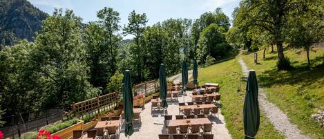 An outdoor seating area with tables and chairs, surrounded by greenery and a path leading to a mountain.