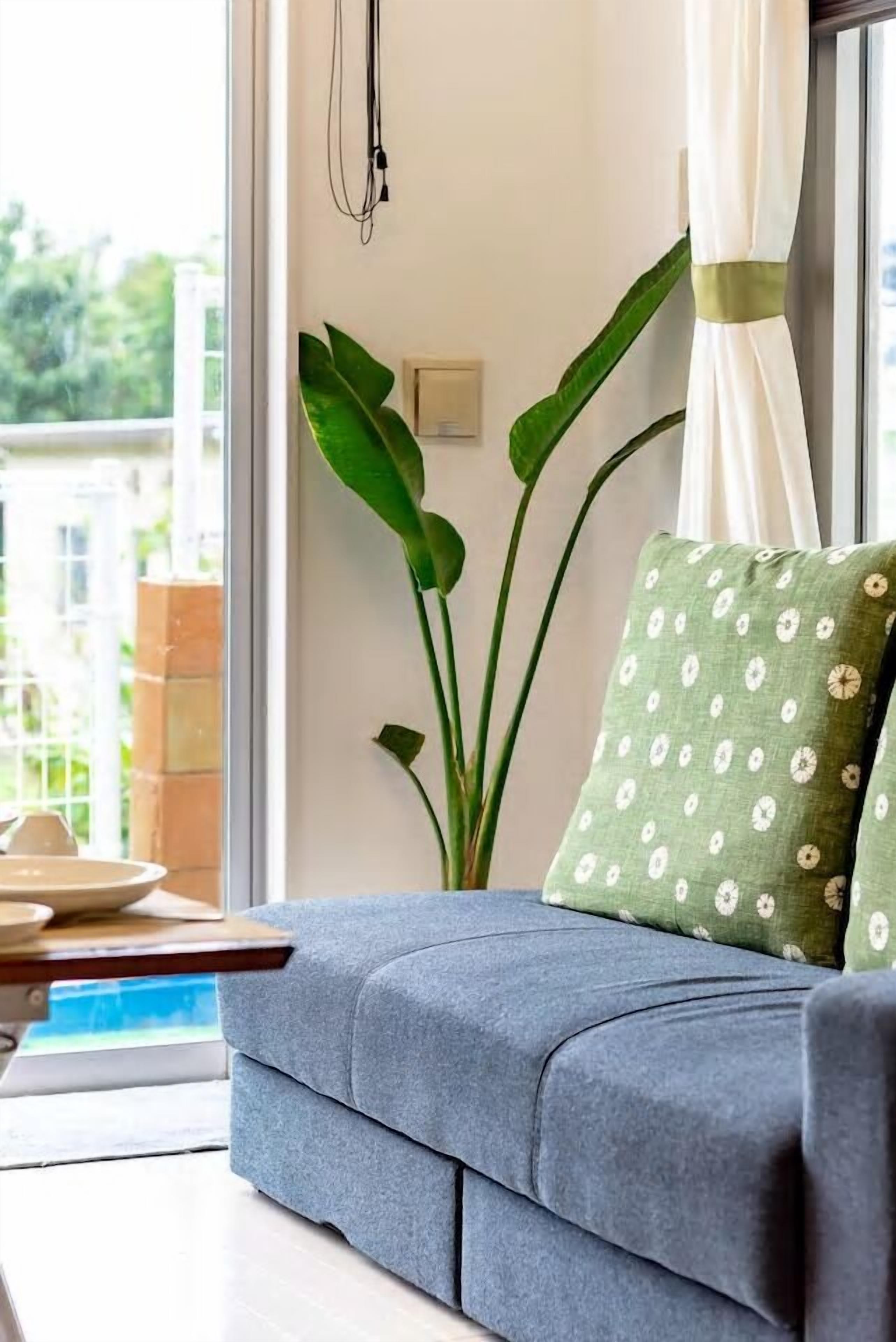 A modern living room with a grey sofa, a green patterned pillow, and a large plant.